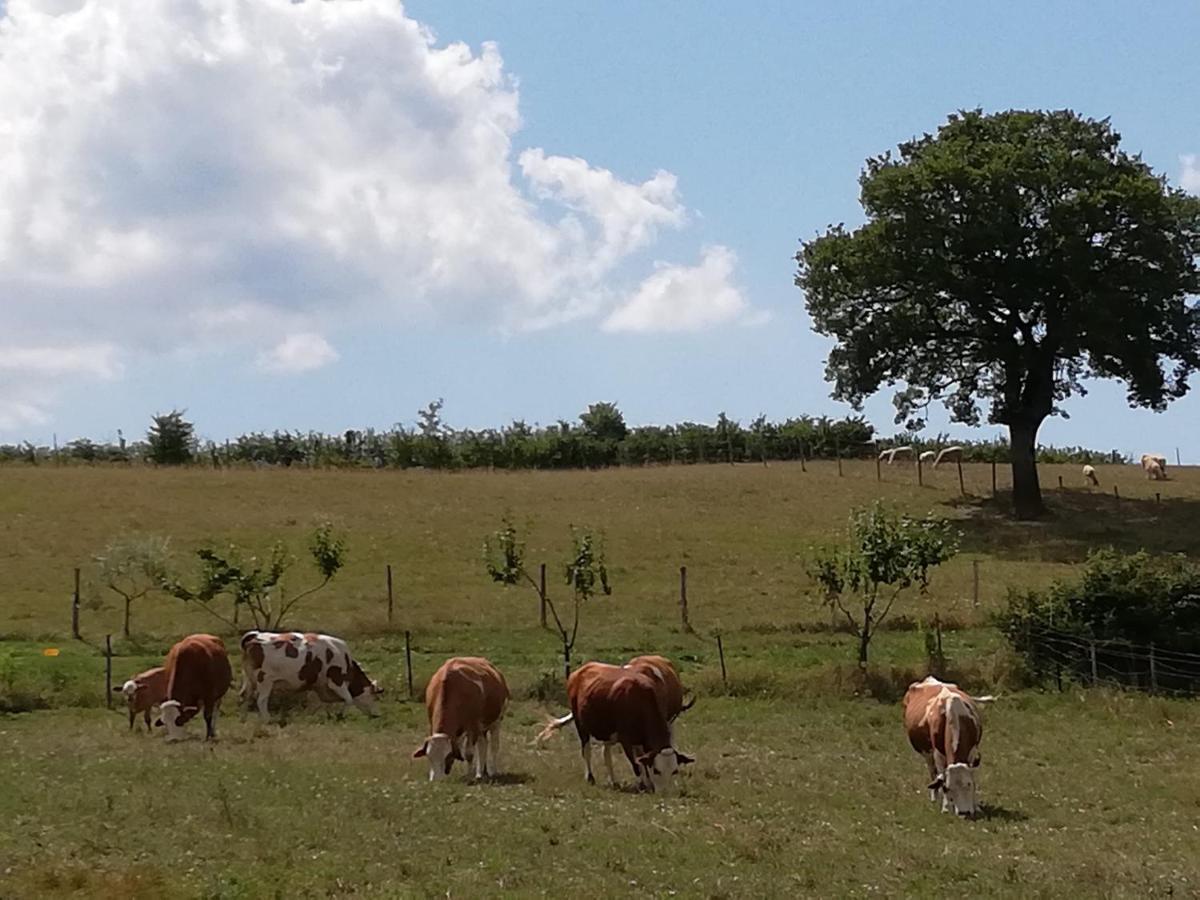 Valle Del Poggio 노세라 움브라 외부 사진
